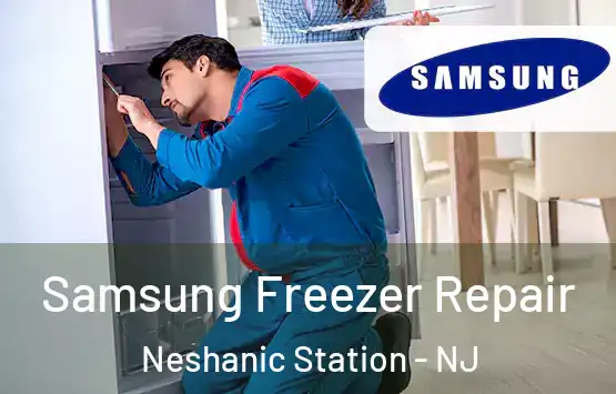  Samsung Freezer Repair Neshanic Station - NJ