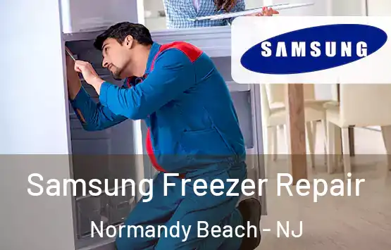  Samsung Freezer Repair Normandy Beach - NJ