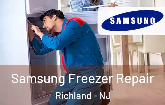  Samsung Freezer Repair Richland - NJ