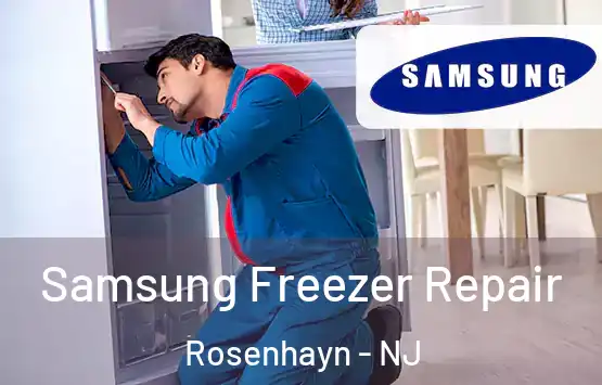  Samsung Freezer Repair Rosenhayn - NJ