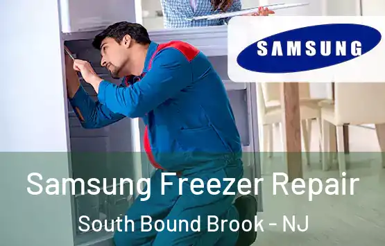  Samsung Freezer Repair South Bound Brook - NJ