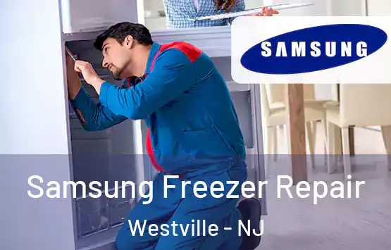  Samsung Freezer Repair Westville - NJ