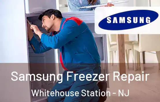  Samsung Freezer Repair Whitehouse Station - NJ