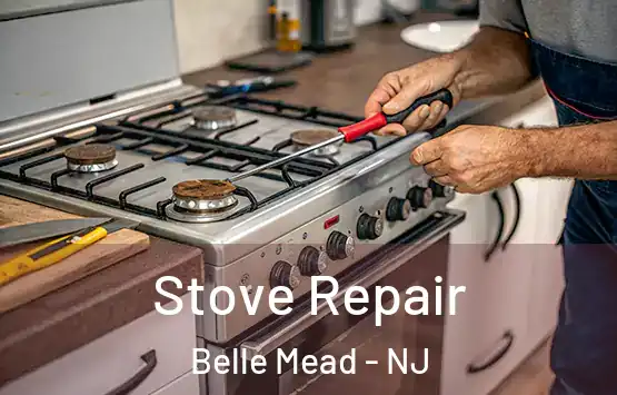  Stove Repair Belle Mead - NJ