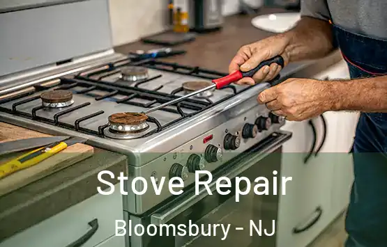  Stove Repair Bloomsbury - NJ