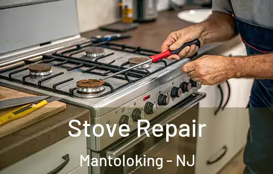  Stove Repair Mantoloking - NJ