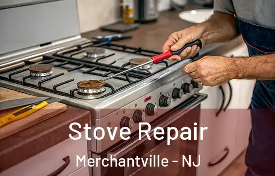  Stove Repair Merchantville - NJ