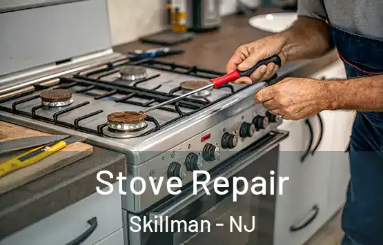  Stove Repair Skillman - NJ