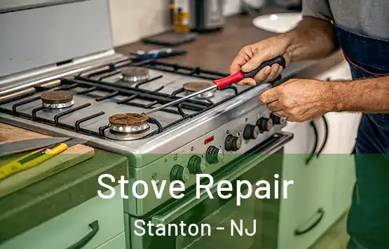  Stove Repair Stanton - NJ