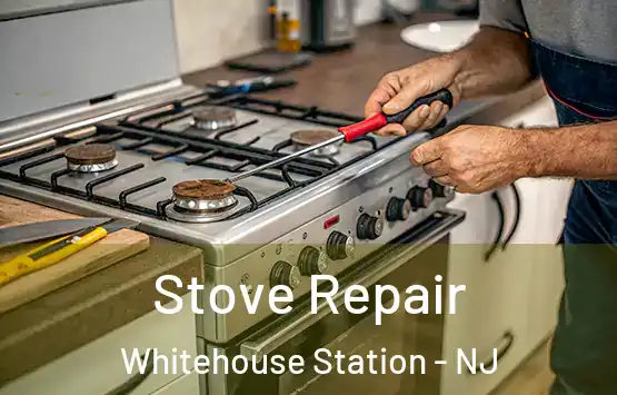  Stove Repair Whitehouse Station - NJ