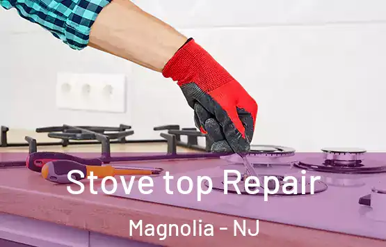  Stove top Repair Magnolia - NJ