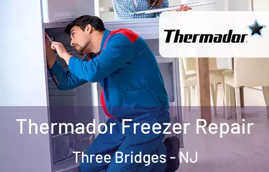  Thermador Freezer Repair Three Bridges - NJ