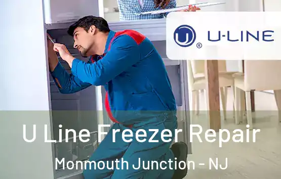  U Line Freezer Repair Monmouth Junction - NJ