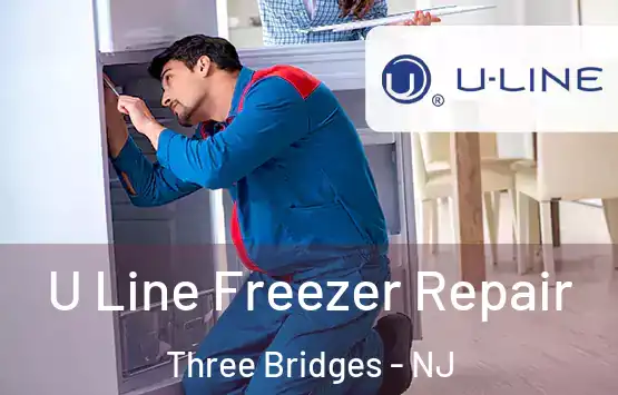  U Line Freezer Repair Three Bridges - NJ