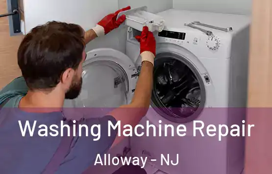  Washing Machine Repair Alloway - NJ