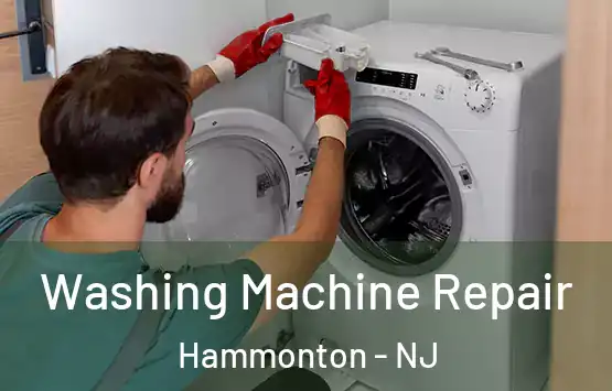  Washing Machine Repair Hammonton - NJ