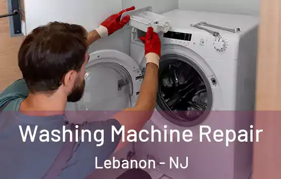  Washing Machine Repair Lebanon - NJ