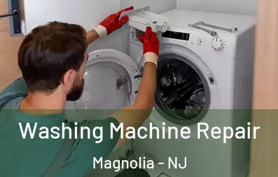  Washing Machine Repair Magnolia - NJ