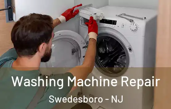  Washing Machine Repair Swedesboro - NJ