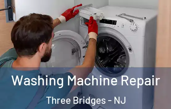  Washing Machine Repair Three Bridges - NJ