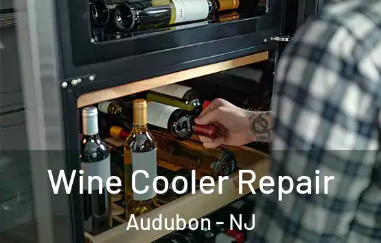  Wine Cooler Repair Audubon - NJ
