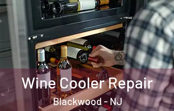  Wine Cooler Repair Blackwood - NJ