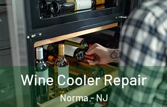  Wine Cooler Repair Norma - NJ