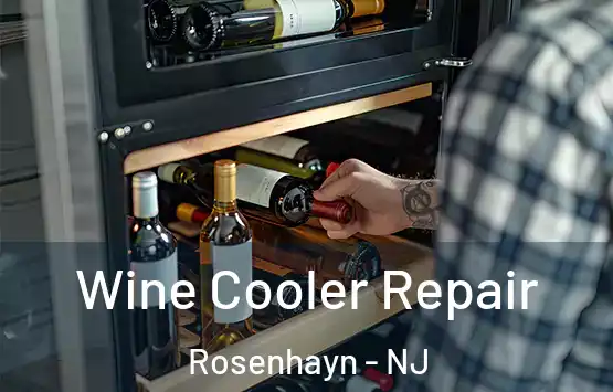  Wine Cooler Repair Rosenhayn - NJ