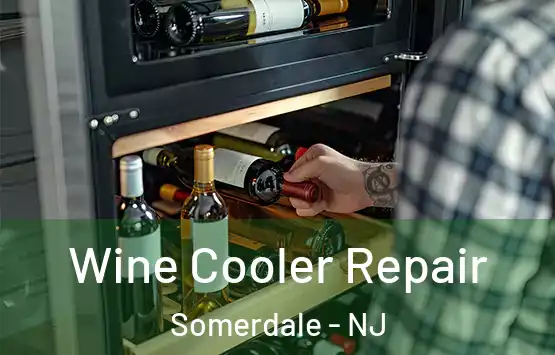  Wine Cooler Repair Somerdale - NJ