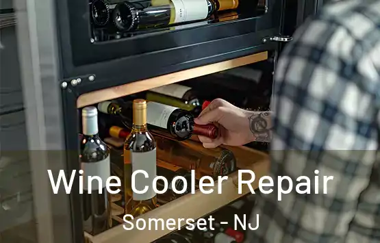  Wine Cooler Repair Somerset - NJ