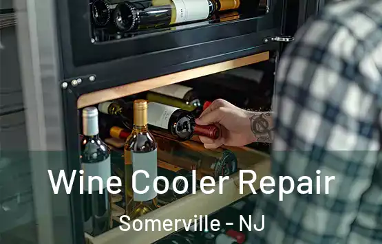  Wine Cooler Repair Somerville - NJ